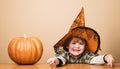 Happy Halloween. Smiling kid boy in witch hat with magic pumpkin. Funny child in witch hat for Halloween with pumpkin Royalty Free Stock Photo