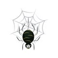 Happy halloween, spider in cobweb trick or treat celebration flat icon style Royalty Free Stock Photo