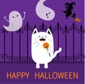 Happy Halloween. Spooky frightened cat holding pumpkin face on stick. Forged iron fence. Flying ghosts hands up, witch broom Boo.