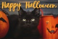 Happy Halloween text on black evil cat and pumpkin with bats on dark wooden background, celebrating halloween at home. Handwritten