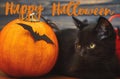 Happy Halloween text on black evil cat and pumpkin with bats on dark wooden background, celebrating halloween at home. Handwritten