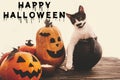 Happy Halloween text, bloody sign on pumpkins, jack-o-lantern, Royalty Free Stock Photo
