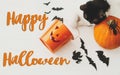 Happy Halloween text on cat paws holding Jack o lantern candy pail on white background with pumpkin, bats and spider decorations, Royalty Free Stock Photo