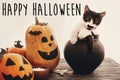 Happy Halloween text sign on pumpkins, jack-o-lantern, cat in wi Royalty Free Stock Photo