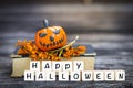 Happy Halloween wooden sign with smiling halloween pumpkin with dry flower with space on blurred background Royalty Free Stock Photo