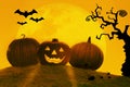 Happy haloween. Party with pumkin