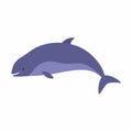 Happy Harbor Porpoise Cartoon. Vector illustration isolated Royalty Free Stock Photo