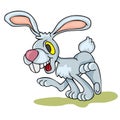 Happy hare Royalty Free Stock Photo