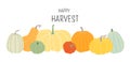 Happy Harvest. Horizontal banner with different pumpkins isoleted on white background