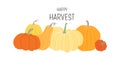 Happy Harvest. Horizontal banner with different pumpkins isoleted on white background