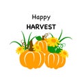 Happy Harvest.  Punpkins with inscription. Fall season. Cute printables autumn design. Vector illustration Royalty Free Stock Photo