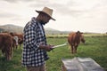 Happy, healthy cattle are first priority. a mature man writing notes while working on a cow farm.