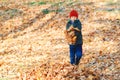 Happy and healthy childhood. Autumn sunny day. Boy throwing fallen maple leaves