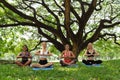 Happy healthy four woman teenagers training and practicing fire log yoga pose in the park in the morning. healthy, sport and