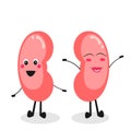 Cartoon vector illustration graphic of the human kidneys healthy and happy