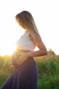 Happy healthy pregnancy and maternity. Portrait of pregnant young caucasian woman wearing long blue dress posing in park Royalty Free Stock Photo