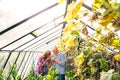 Senior couple gardening in the backyard garden. Royalty Free Stock Photo