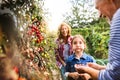 Senior couple with grandaughter gardening in the backyard garden Royalty Free Stock Photo