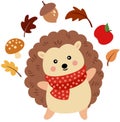 Happy hedgehog with autumn elements Royalty Free Stock Photo
