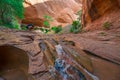 Happy Hiker Splashing water in Beautiful Cascade in Coyote Gulch Royalty Free Stock Photo