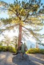 Happy hiker visit Yosemite national park in California