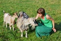Happy hippie girl and goats
