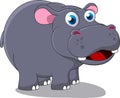 Happy Hippo Royalty Free Stock Photo