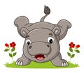 The happy hippopotamus is doing the handstand in the garden