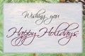 Happy Holidays Card Royalty Free Stock Photo