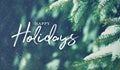 Happy Holidays Christmas Script Text Over Evergreen Tree Background in Woods Covered in Snow Royalty Free Stock Photo