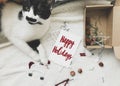 Happy holidays Greeting card. Happy holidays text handwritten on postcard with cute cat paws holding modern festive glass Royalty Free Stock Photo