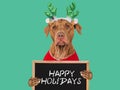 Happy Holidays. Lovable dog and sign Close-up Royalty Free Stock Photo