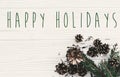 Happy Holidays text on modern christmas flat lay with green fir Royalty Free Stock Photo