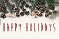 Happy Holidays text on modern christmas flat lay with green fir Royalty Free Stock Photo