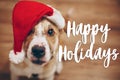 Happy holidays text, seasonal greetings card sign. dog in santa