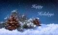 Happy Holidays Text on a Winter Night Royalty Free Stock Photo