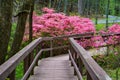 Happy Hollow Gardens, Roanoke County, VA