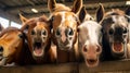 happy horses smile in stall generative ai Royalty Free Stock Photo