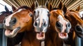 happy horses smile in stall generative ai Royalty Free Stock Photo