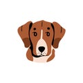 Happy hunting dog avatar. Cute puppy of shorthair breed. Amusing pup of hound. Funny doggy portrait, lovely terrier