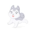 Happy husky puppy running. Cartoon vector illustration on white background.