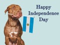 Happy Independence Day. Charming puppy and Flag of Argentina