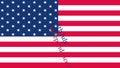 Happy Independence Day US Flag Graphic Animation