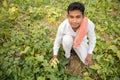 Happy indian farmer collects harvesting cucumbers from agriculture field or garden, A man holds cucumbers in his hands. Fresh Royalty Free Stock Photo