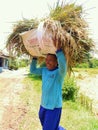 Happy indonesian farmer smile after rice harvest in organic agriculture rice field farm