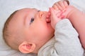 Happy infant baby boy pulls his leg into his mouth and smiles. Four month old child, close-up Royalty Free Stock Photo