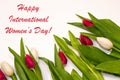 Happy international women's day background with red and white tulip flower frame. Best gift for woman on holiday. Spring