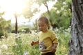 Happy joyful Asia Chinese little boy toddler child enjoy Spring have fun outside embrace nature outdoor carefree childhood Royalty Free Stock Photo