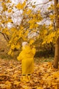 happy joyful child runs through the autumn park in a yellow raincoat. Camping Royalty Free Stock Photo