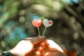 Happy joyful couple give heart candle to each other in the afternoon, Love concept